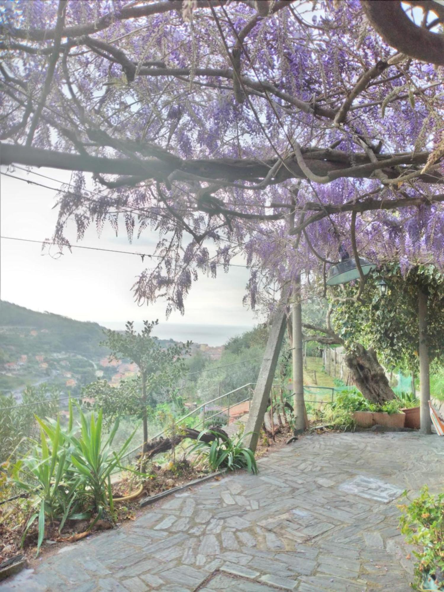 Hotel Cà degli Ulivi à Finale Ligure Extérieur photo